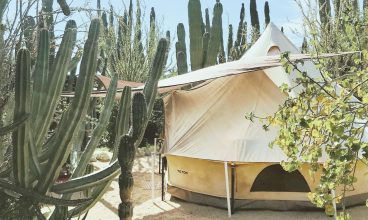 Are Glamping Tents Sustainable?